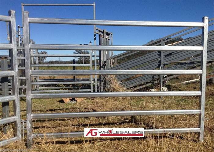 Cattle Panels for NSW Farmers - Range of Sizes & Style