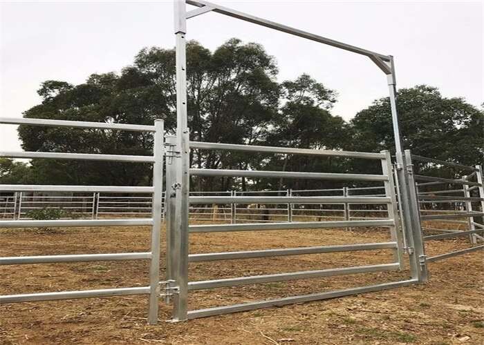 Cattle Panels for Sale - Perfect for Livestock