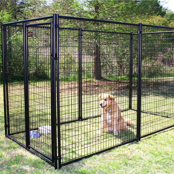 Welded wire dog kennels: Customizable, & Easy Setup