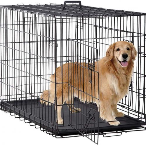Wire Dog Cages: Training and Breeding Solutions