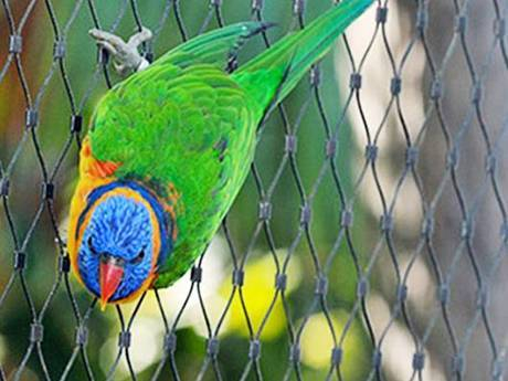 0188d1c8c4aa4ec7faea2ebb87cd