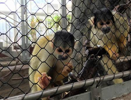 05bbf8b22cc3abae0df40029e64c 05bbf8b22cc3abae0df40029e64c