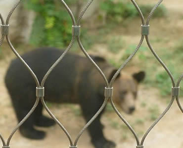 10915a0d19ef6dd7abb93783eea0