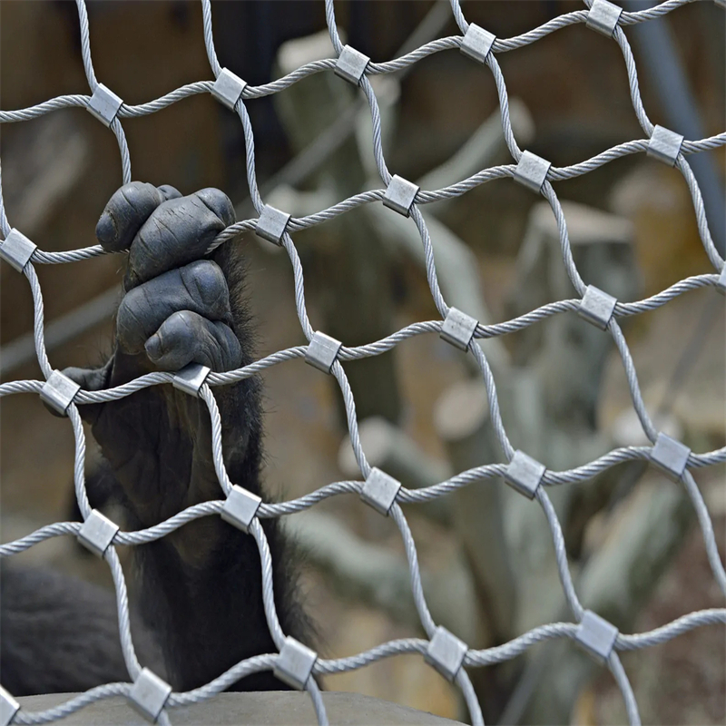 Stainless steel cable net: 11 shocking secrets Read More