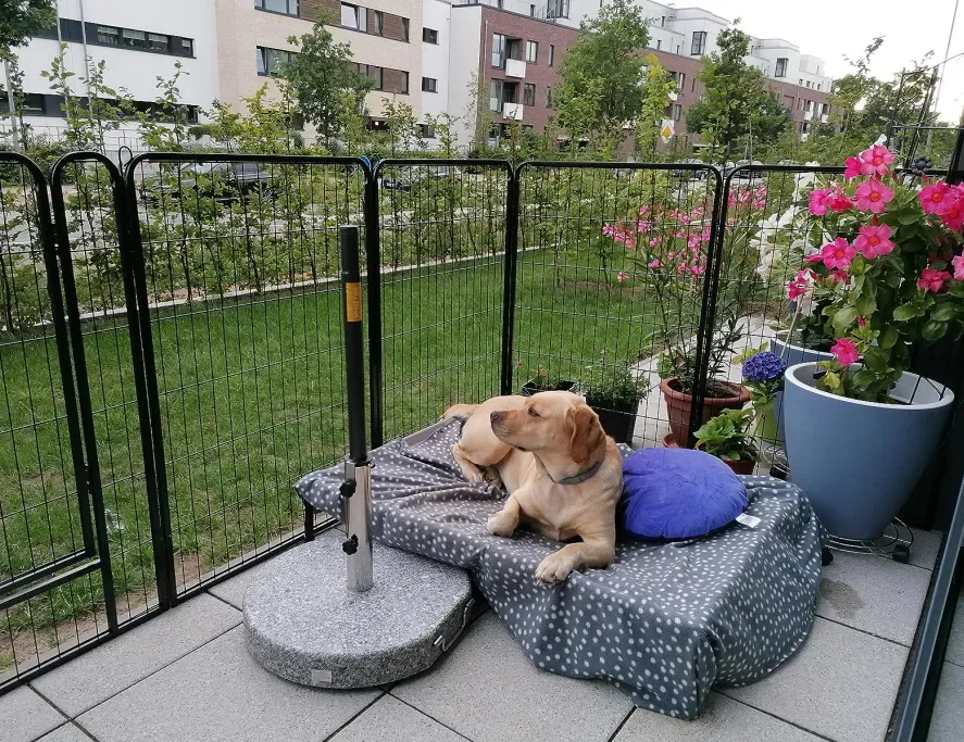 1688-Factory-Heavy-Duty-Metal-Dog-Playpen-with-Rust-Resistant-Coating-for-Outdoor-Use-25