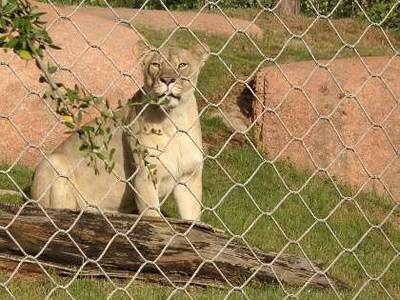 18e261aff1e78aeb44b80f86cff7