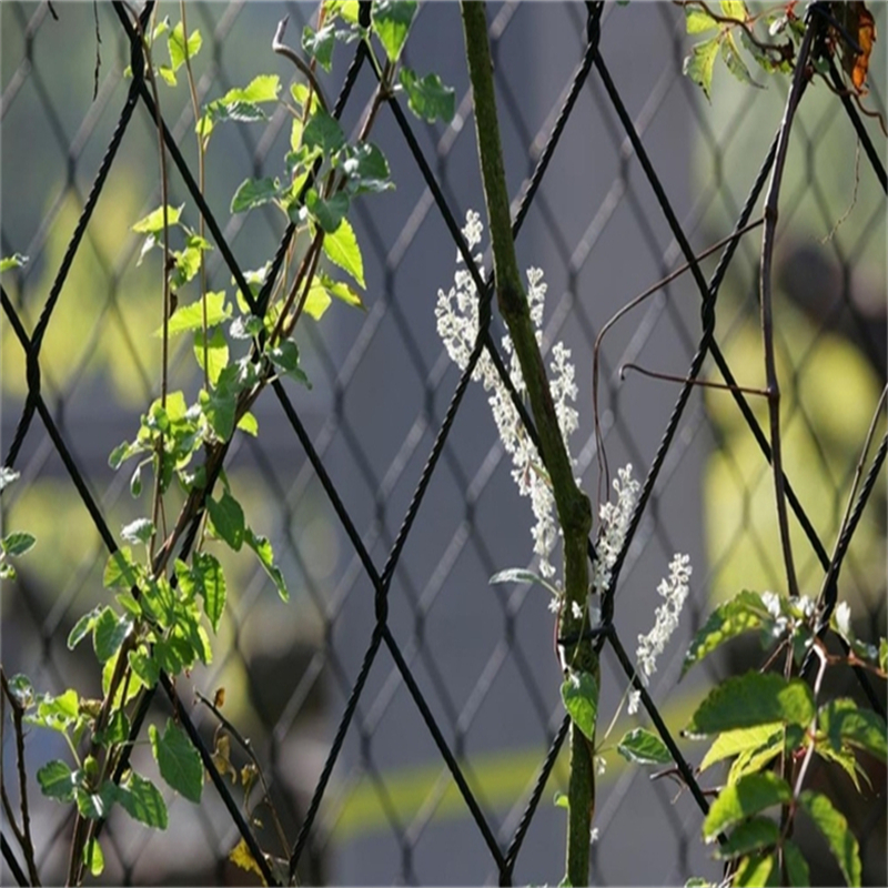 Stainless Steel Green Facades: 5 Powerful Advantages