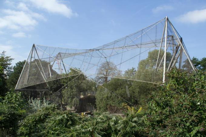 Stainless Steel Aviary Mesh Enclosure 