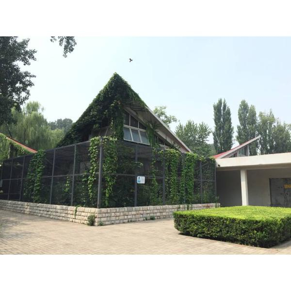 Black painted welded zoo aviary mesh for small birds