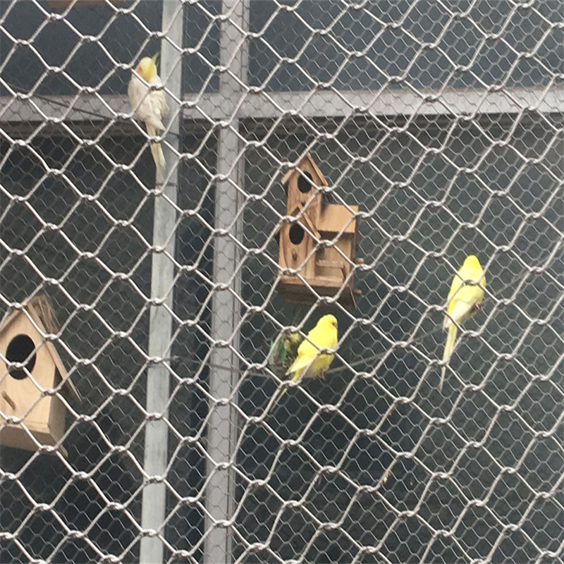 Stainless steel wire rope mesh fence: 17 shocking secrets