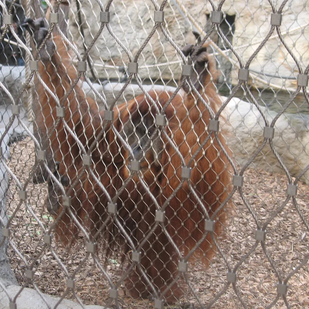 Monkey Enclosure Mesh: 7 Powerful Benefits for Safe