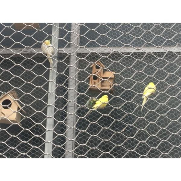 China stainless steel cable mesh installation