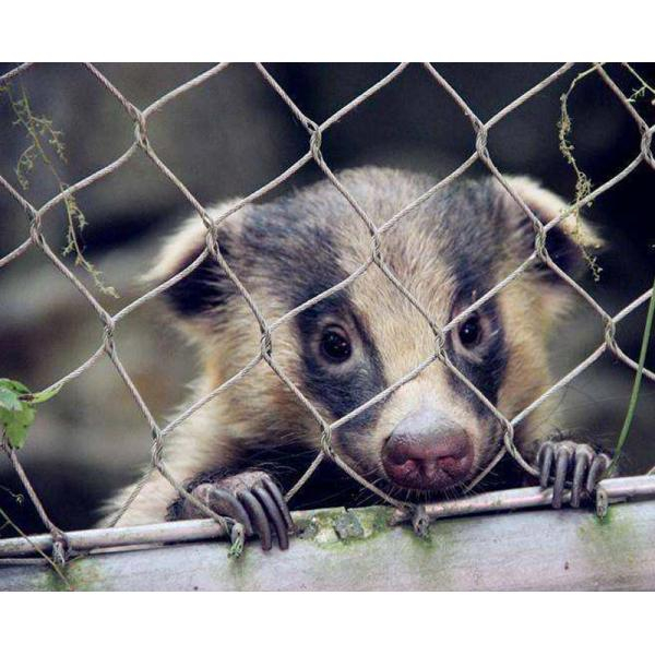 66cde7f8be56a0f0dfd449d9f698