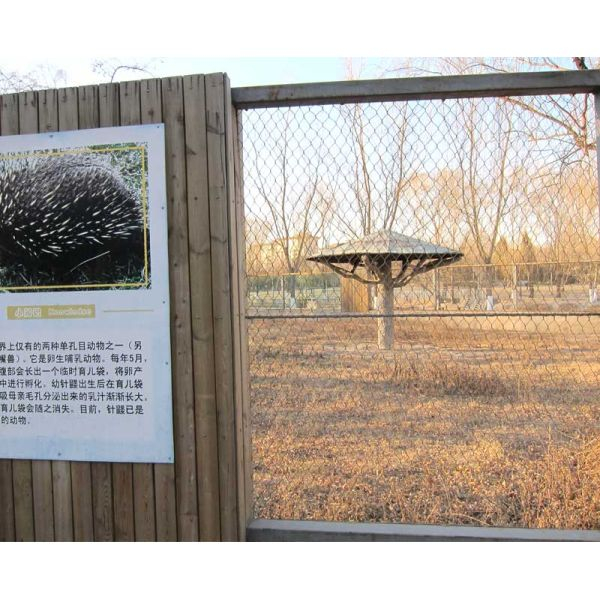 6d65fa649408dad5b13acd4893e8