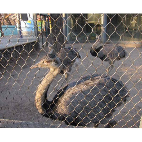 77664ad238ad48d641c37dd48ab5