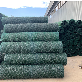 Reinforced Mike pad vegetation growth 1