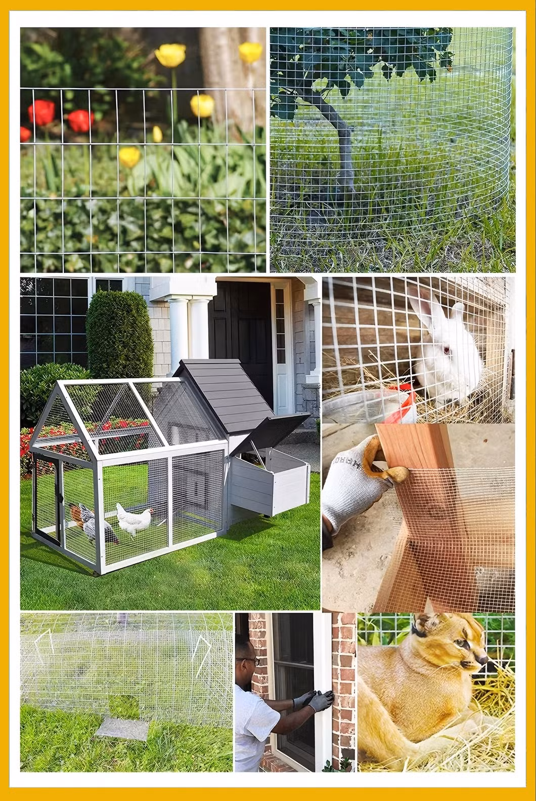 Welded wire mesh for bird aviary