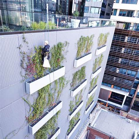 OIP.9h4-PZmh7HxBFaz78mlO7AHaJ4