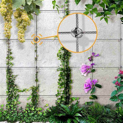 OIP.KGuRHgBG6Y5NbWBgoM9lFAHaHa