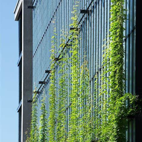 OIP.tVAqhX-ABMR3G3EW8jaJ4gHaLH