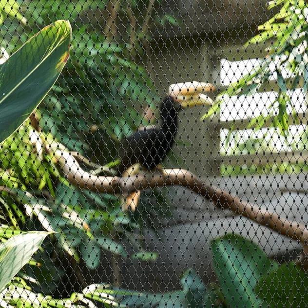 Plant-Climbing-Green-Wall-Facade-Decorative-Stainless-Steel-Cable-Wire-Rope-Mesh-Net-6