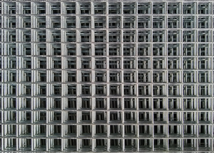 Welded Wire Mesh for Bird Aviary: 5 Powerful Safety Tips