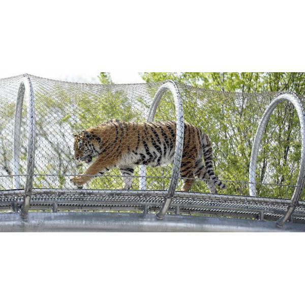 a072ae72ee583faa3c8883748af5