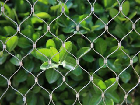 a1a570b82babaf69224c58bd4637