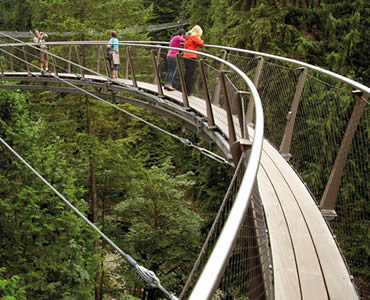 Ferrule mesh on Capilano Suspension Bridge