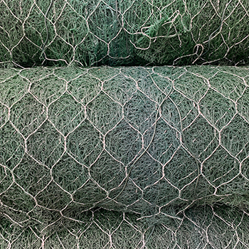 Reinforced Mike pad vegetation growth 2