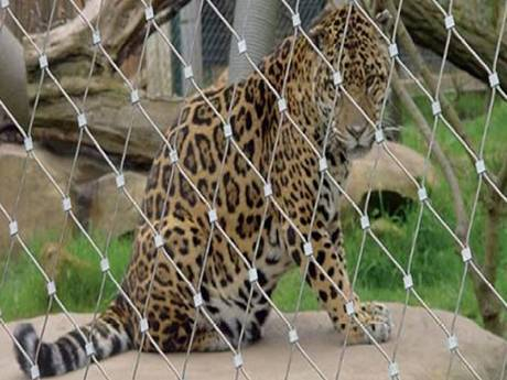 d4a17148be9592788bdec283de0b d4a17148be9592788bdec283de0b