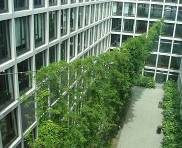 dae6ad406c6ff4722ef3efa0e719 Corridor enhanced by green wall on cable mesh