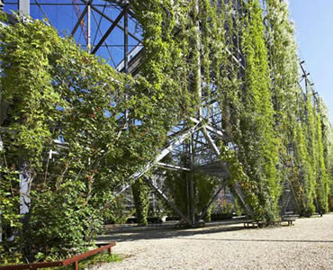 e1a0aec9f7d857e5bdfd811a4bc0 Stainless steel cable mesh arch with climbing plants