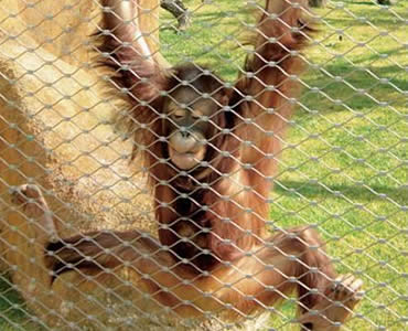 e5b3a4142463654df4a62e308d59