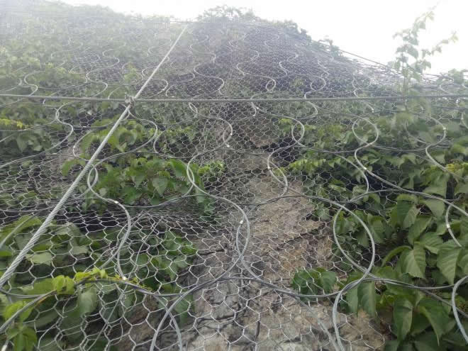 Close view of GPS O steel ring net anchored to a rock slope