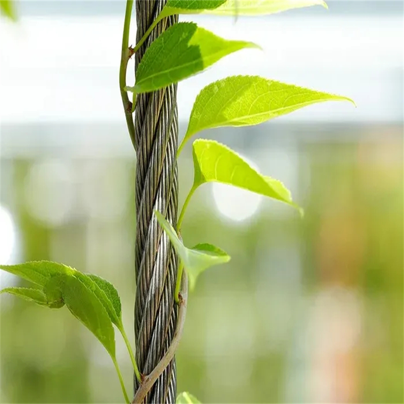 Facade greening cable – 10 powerful best features system