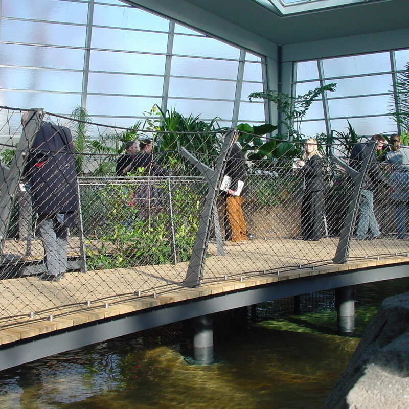 Stainless Steel Zoo Mesh – Ultimate 10 Powerful Benefit