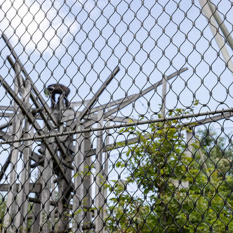 Rope Diamond Ferrule Mesh – 17 Critical Secrets