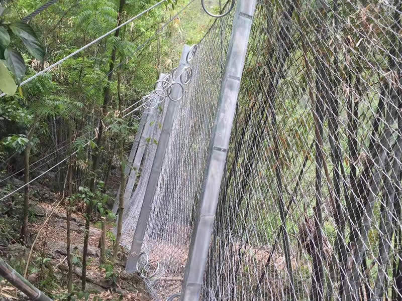 Project case of RX passive rockfall barrier protecting a roadside slope