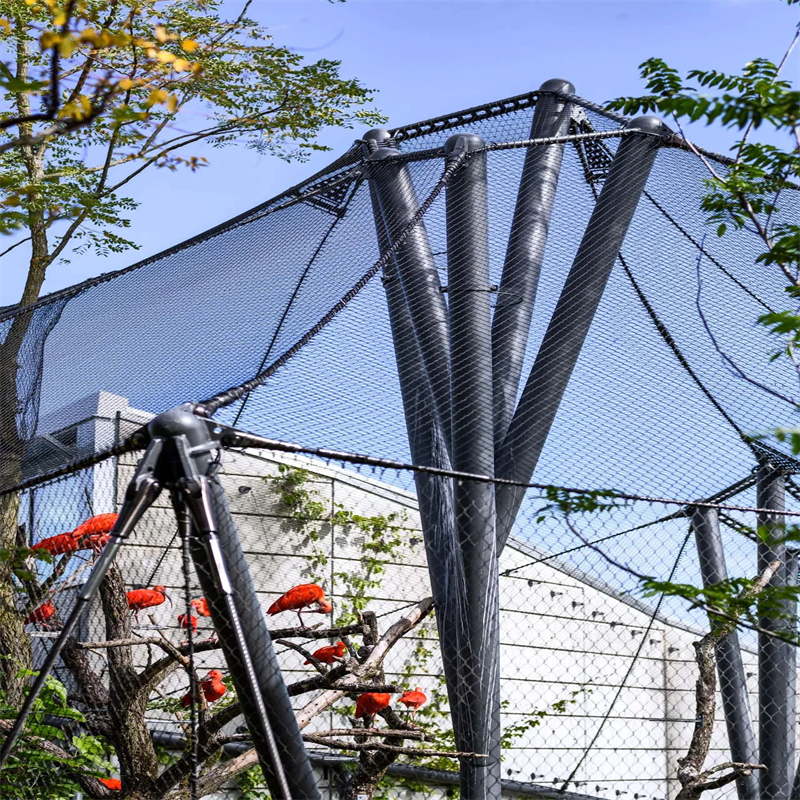 Stainless steel ferrule rope mesh exporter: 9 ultimate secrets