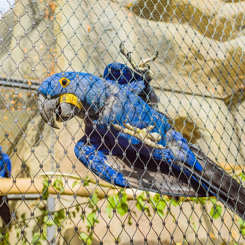 x-tend wire mesh 10 Shocking Safety Warnings You Don’t Know